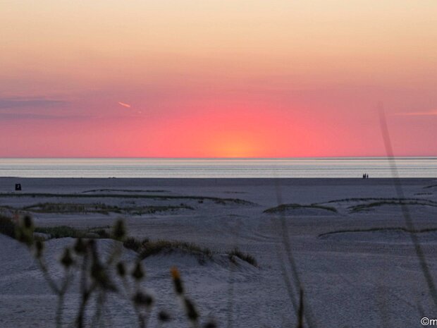 Amrum